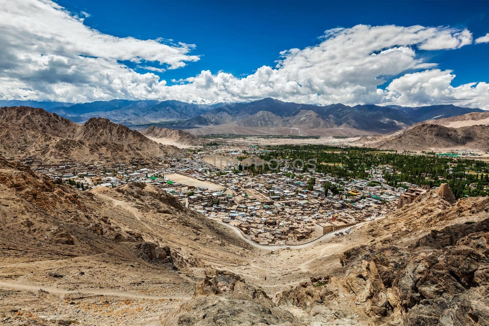 View of Leh from above. Ladakh, Jammu and Kashmir, India by dimol