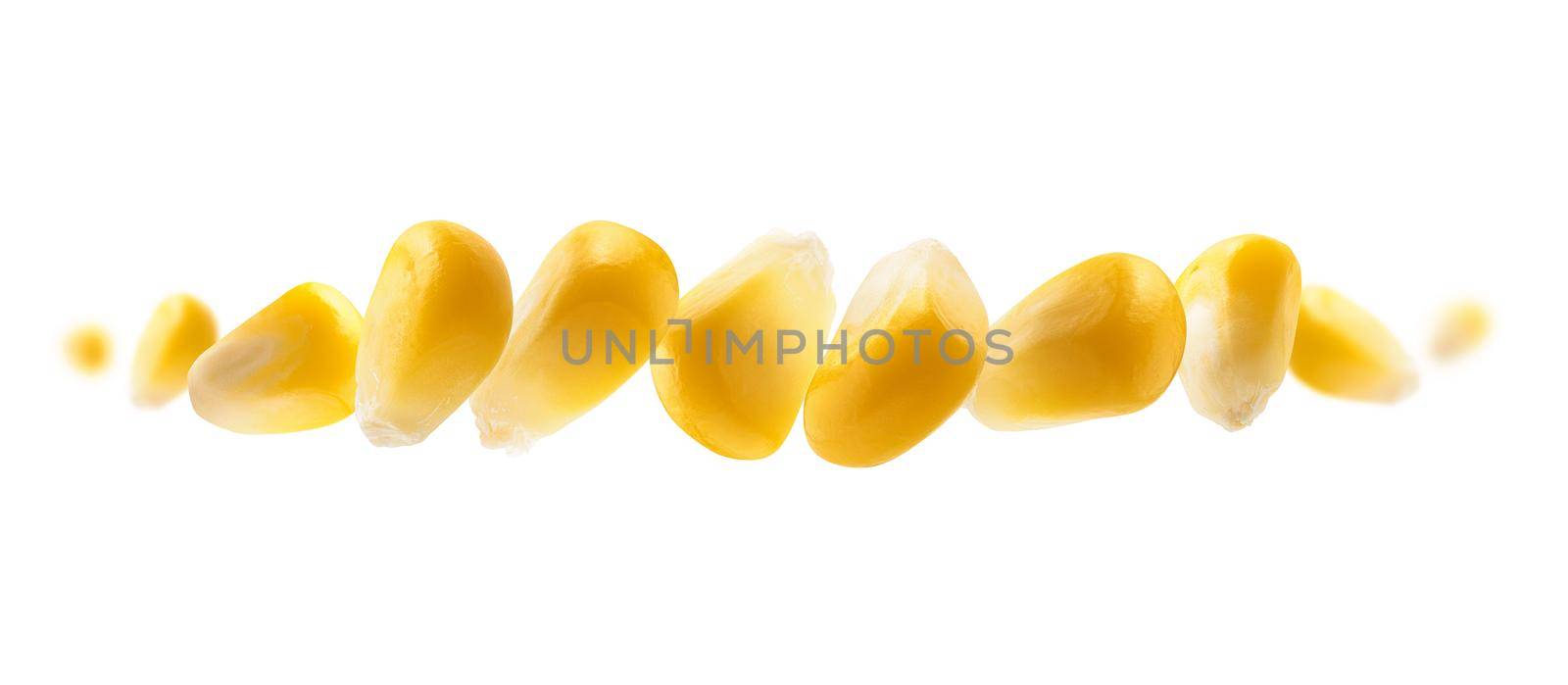 Ripe corn grains levitate on a white background by butenkow