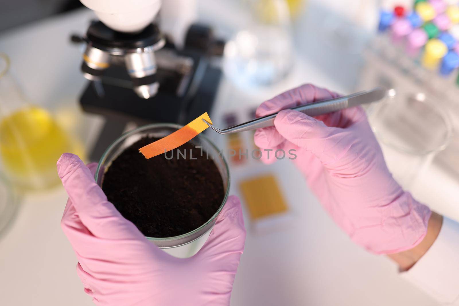 PH test strip and soil study in laboratory. Study of soil contamination by biotesting concept