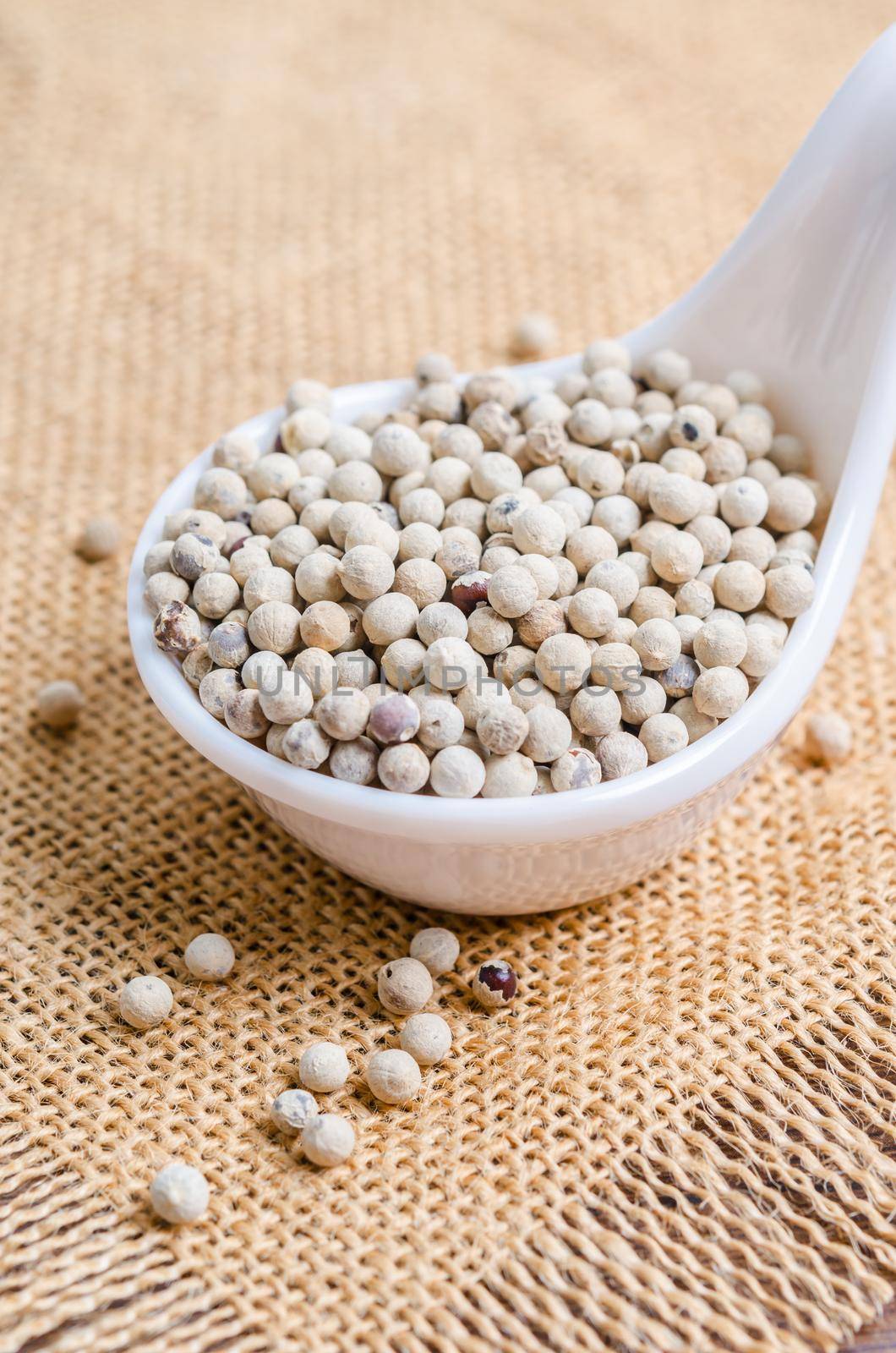 White pepper seeds (peppercorn) in white spoon on sack background. by Gamjai