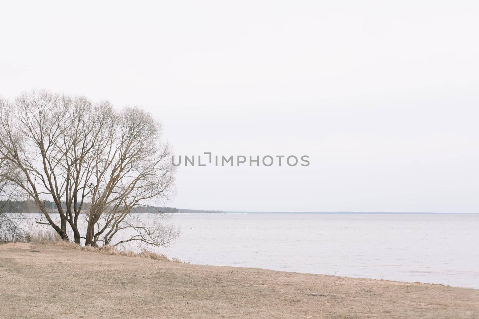 The incredible view of river or lake in spring. Blue water surface with small waves under blue sky.
