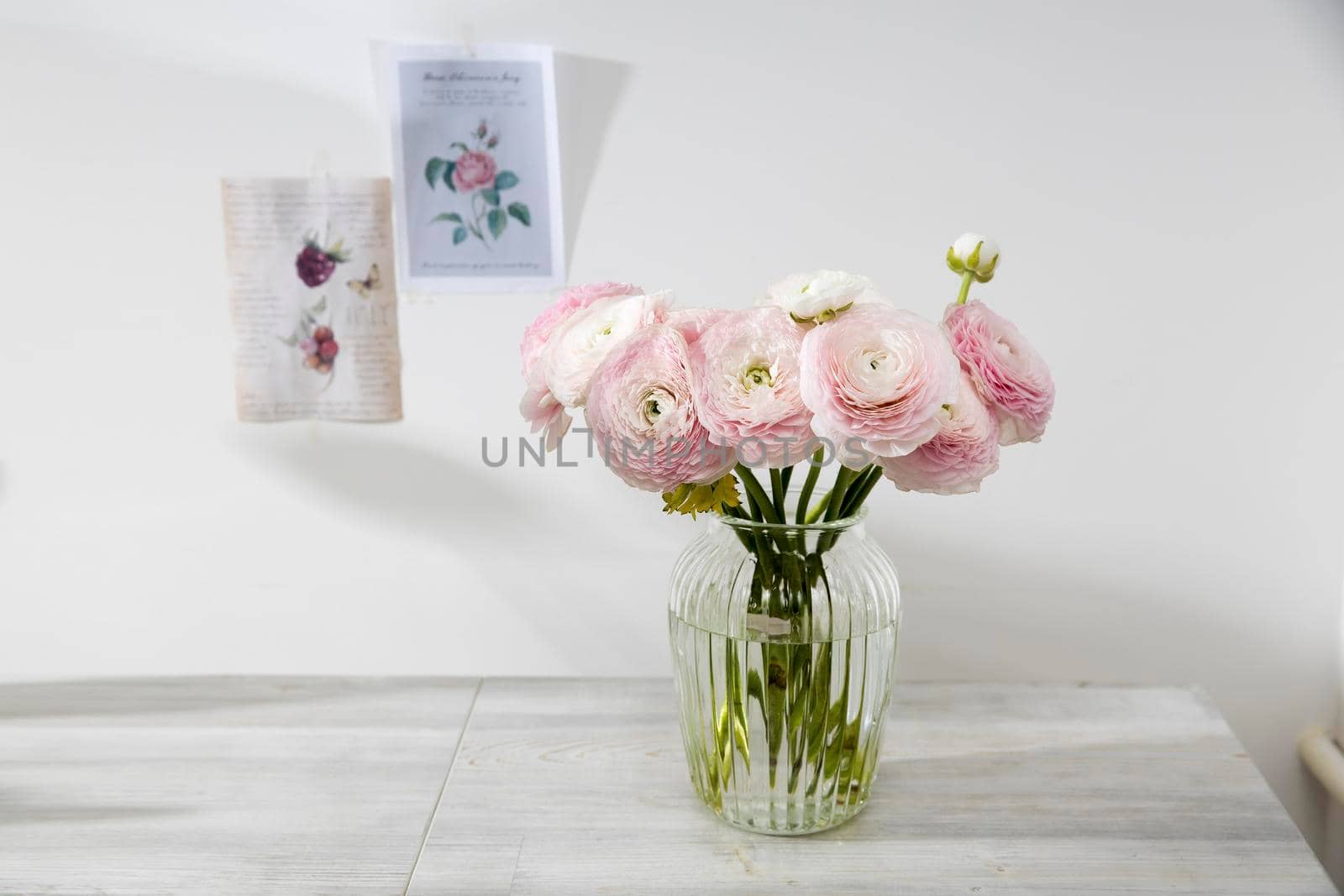 the Bouquet of pale pink and yellow Persian buttercups in the glass vase on the table on pale gray. Copy space