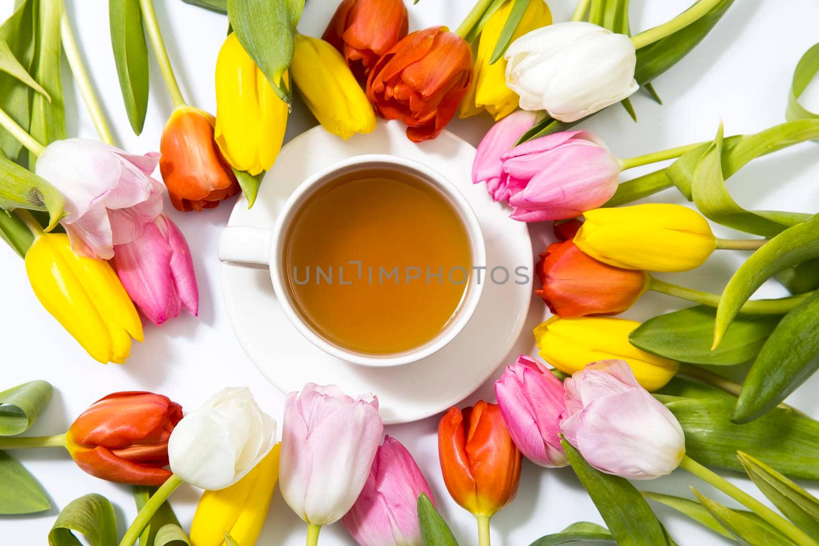 Multicolored tulips form a circle around a cup of tea on a white background. by elenarostunova