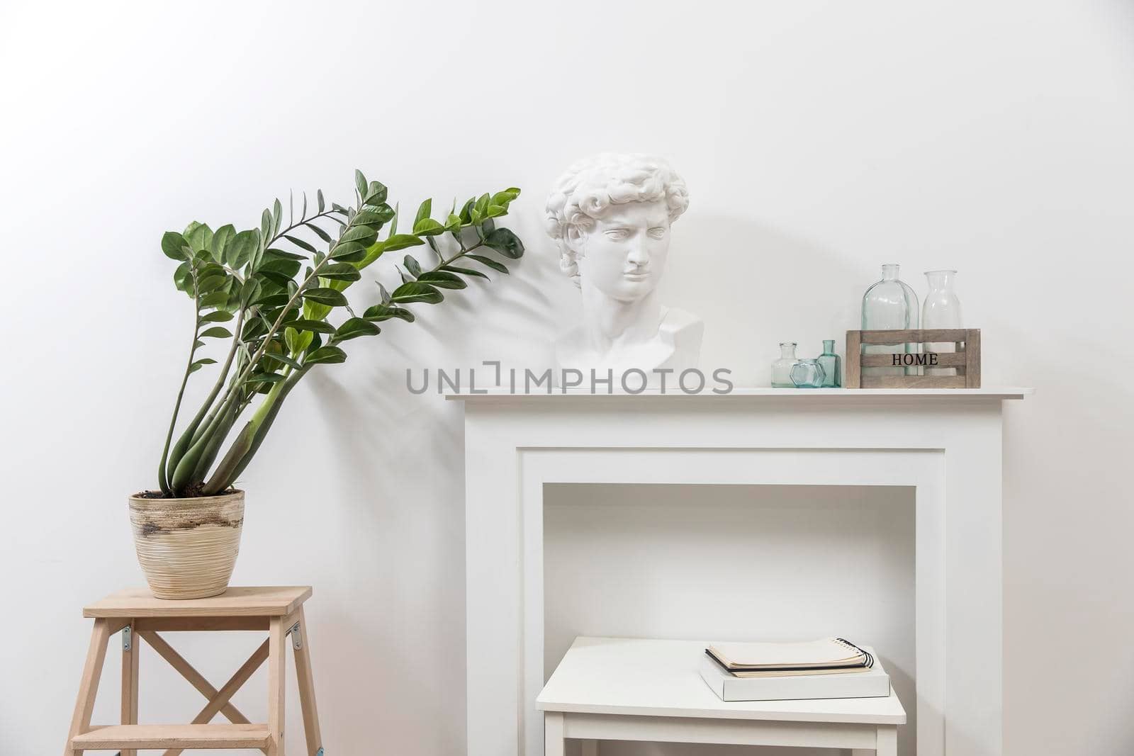 Apollo's plaster head in a white interior. Zamioculcas plant in a clay pot on a stool. Wooden box with glass bottles and a notepad on the table.