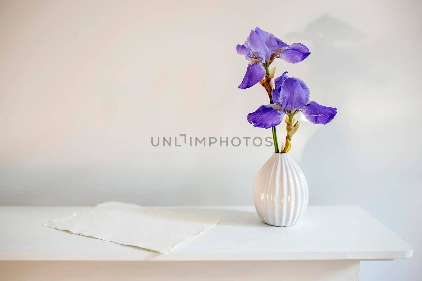 Blue iris in a corrugated vase with a piece of craft paper on a white table. by elenarostunova