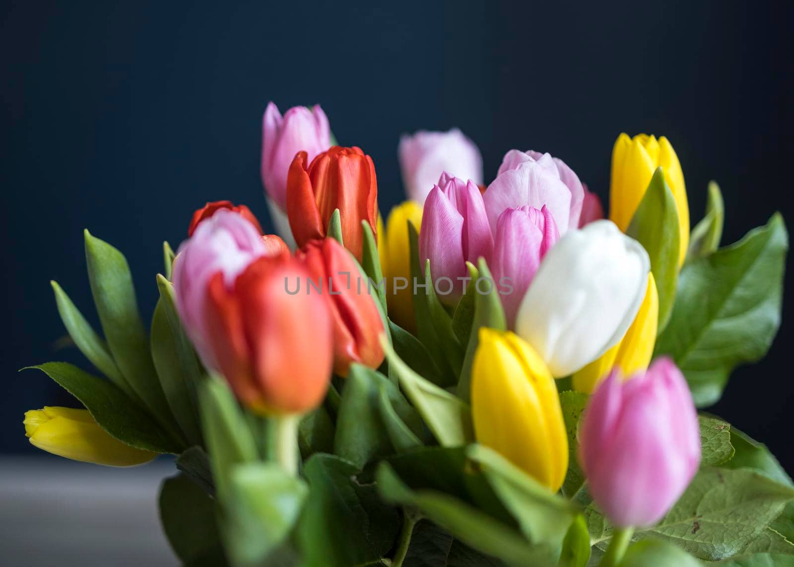 A bouquet of multi-colored tulips in a transparent vase by elenarostunova