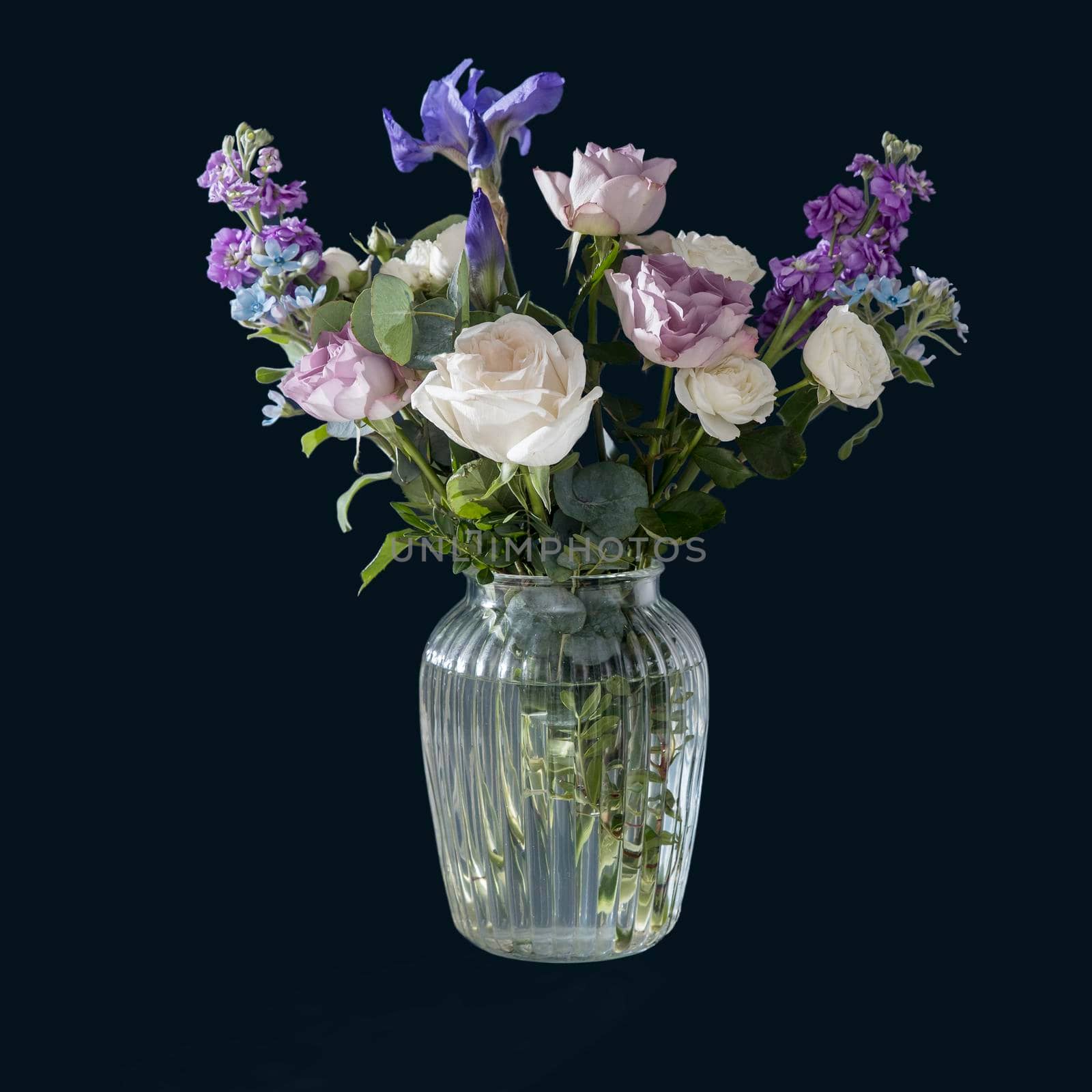 Bouquet of hackelia velutina, purple and white roses, small tea roses, matthiola incana and blue iris in glass vase isolated on black background