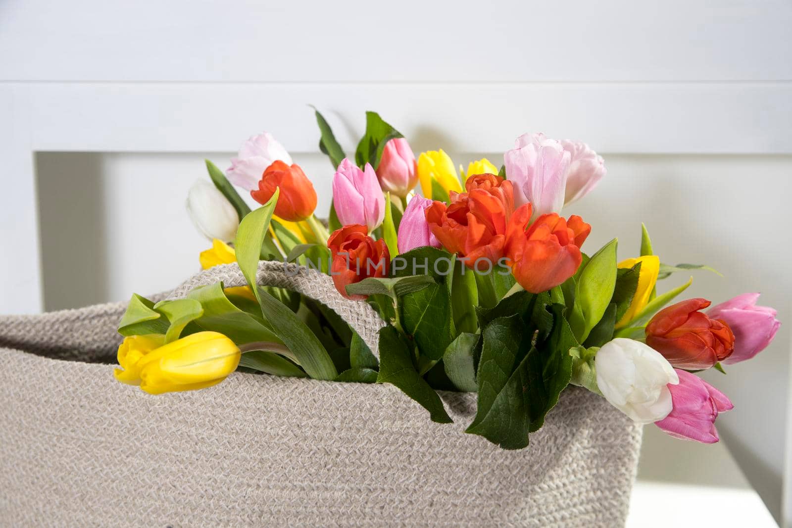 Bouquet of multicolored tulips in a white rattan wicker bag standing on the table in interior.