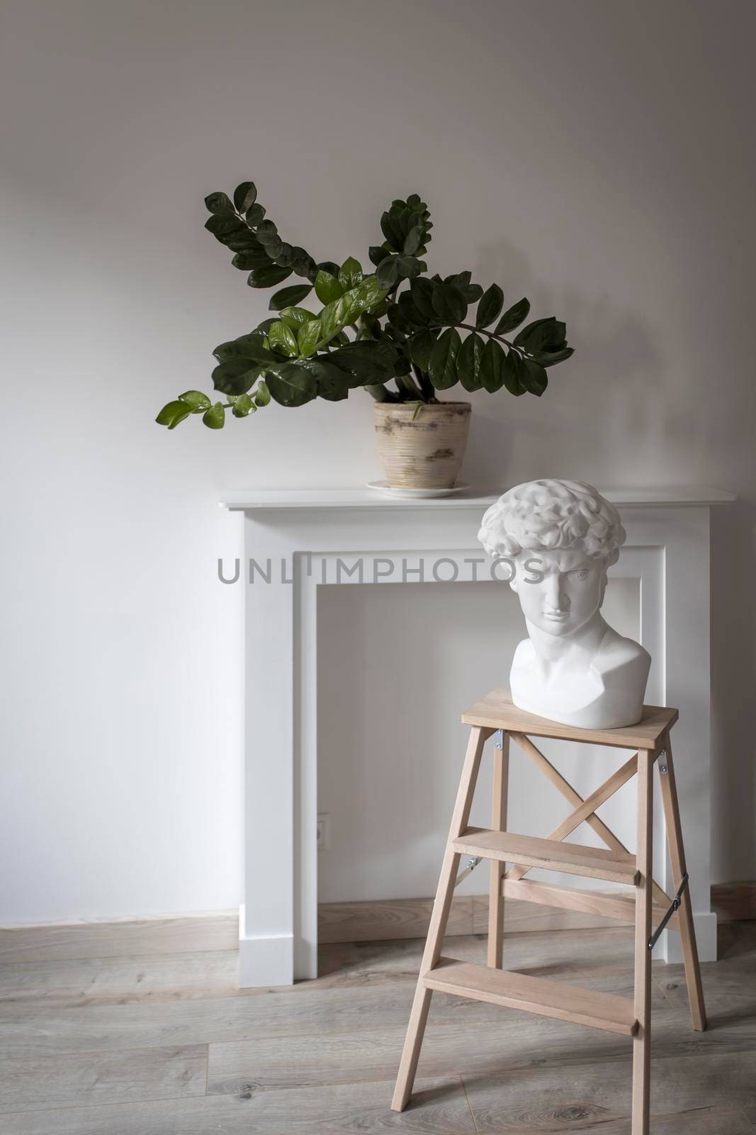 The plaster head of David on a high stool against the background of a fake fireplace panel and Zamioculcas plant in the clay pot decorate the interior. Scandinavian style