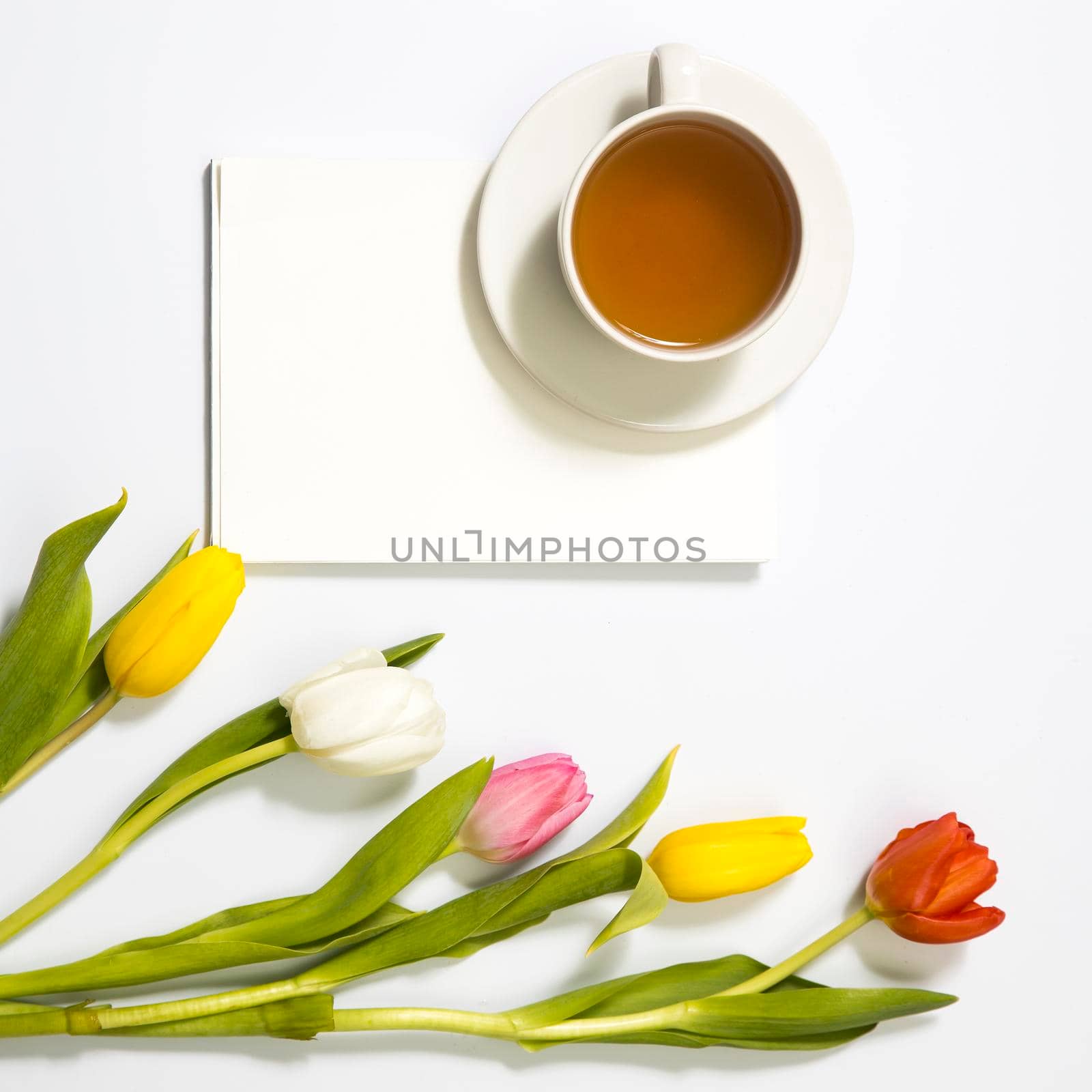 Multicolored tulips near a white blank notebook and cup of tea by elenarostunova