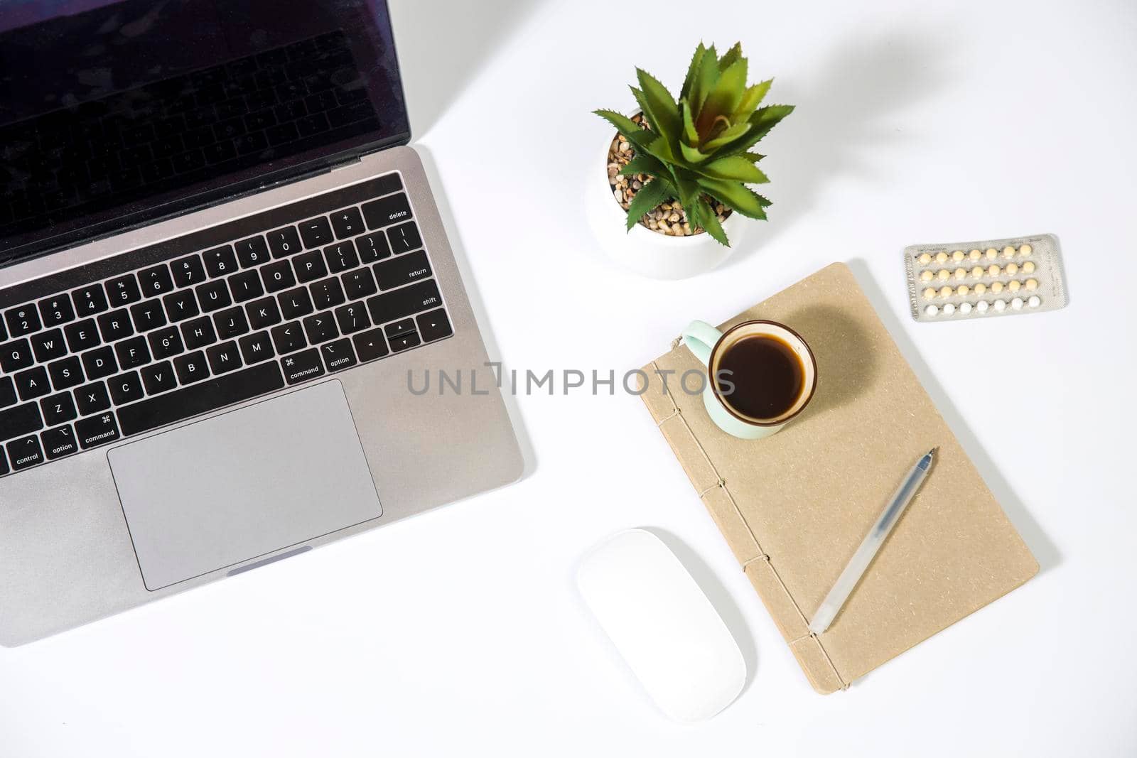 Laptop, artificial succulent plant, notepad and pen on the table on white. Empty space. Concept by elenarostunova