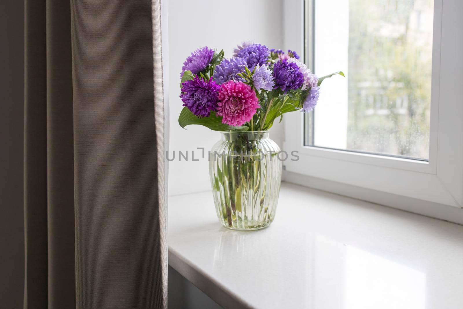 bouquet of colorful asters are on a windowsill near window