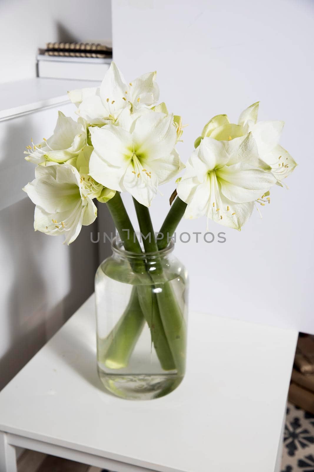 Bouquet of white lilies in a tall glass vase on a beige table against a gray wall. Copy space. Fresh bud