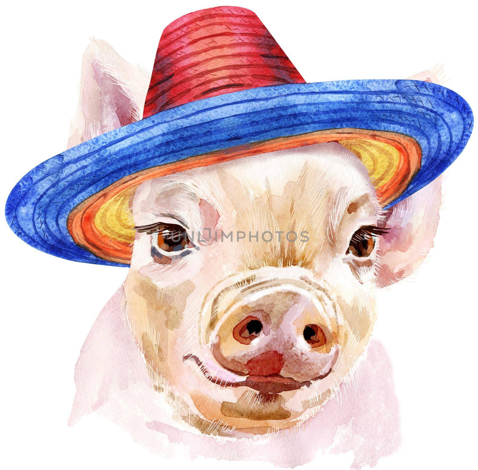 Watercolor portrait of mini pig in sombrero hat by NataOmsk
