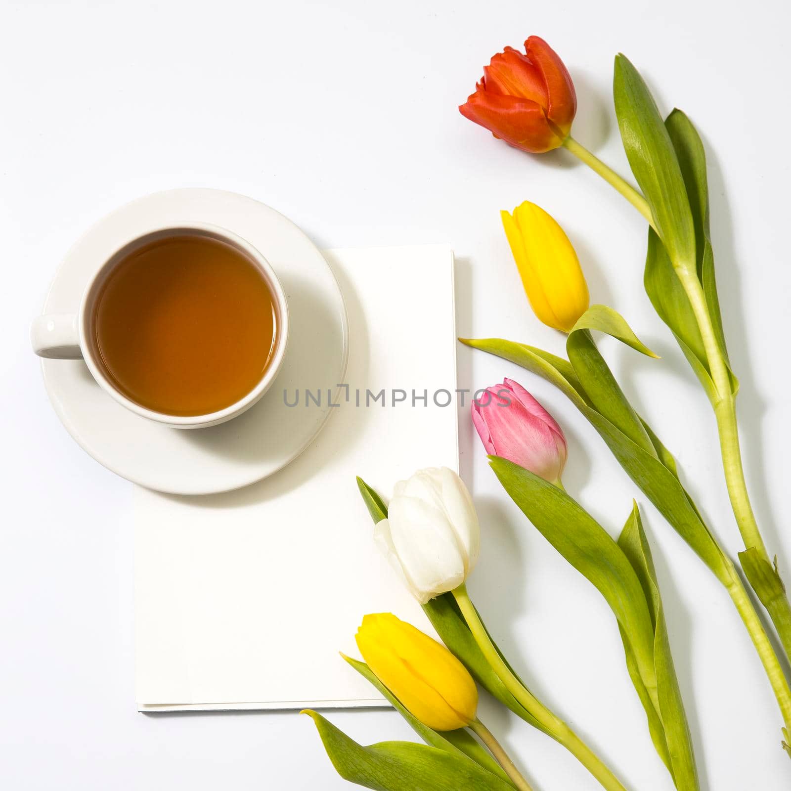 Multicolored tulips near a white blank notebook and cup of tea on a white background.