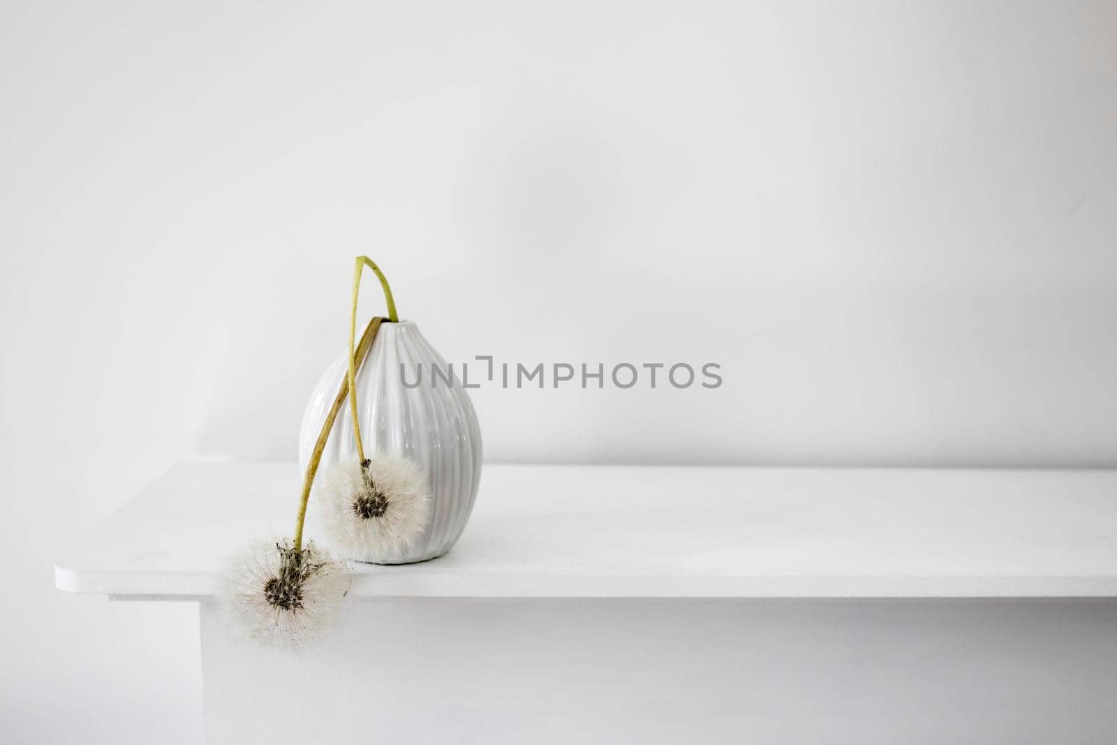 A seventies-style fluted vase with two fluffy dandelions is on the dresser. White on white. Space for text.