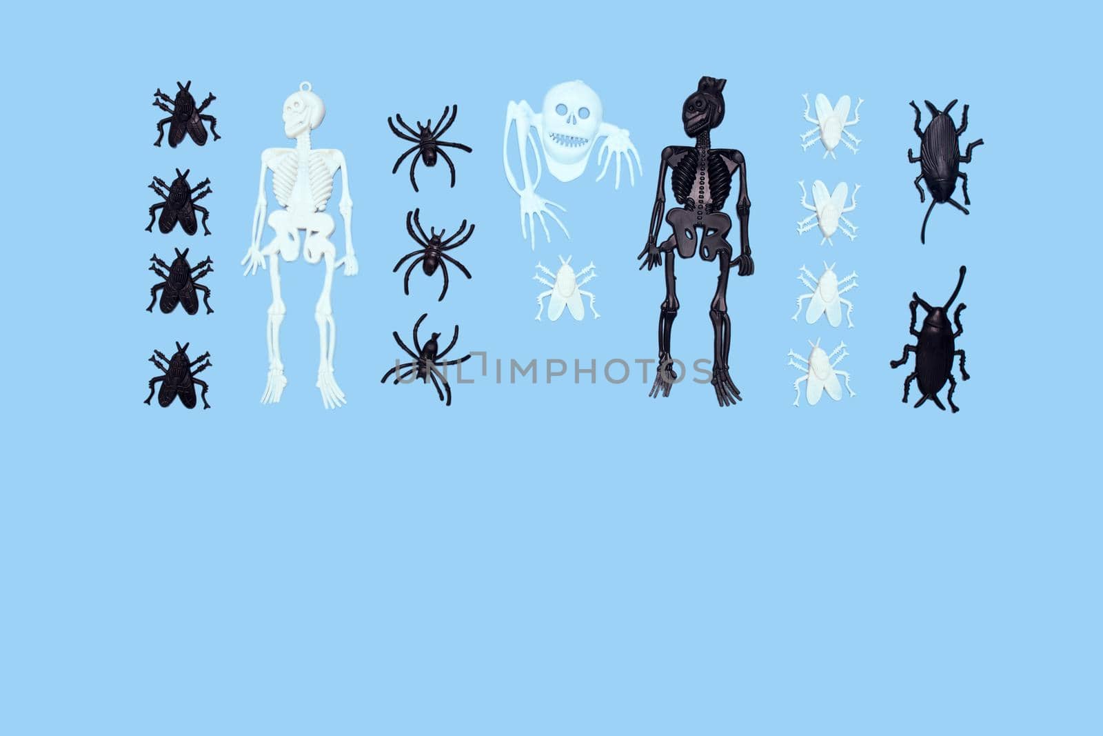 Two plastic skeletons, white and black, insects, fly, spider on a blue background. Halloween card. Copy space.