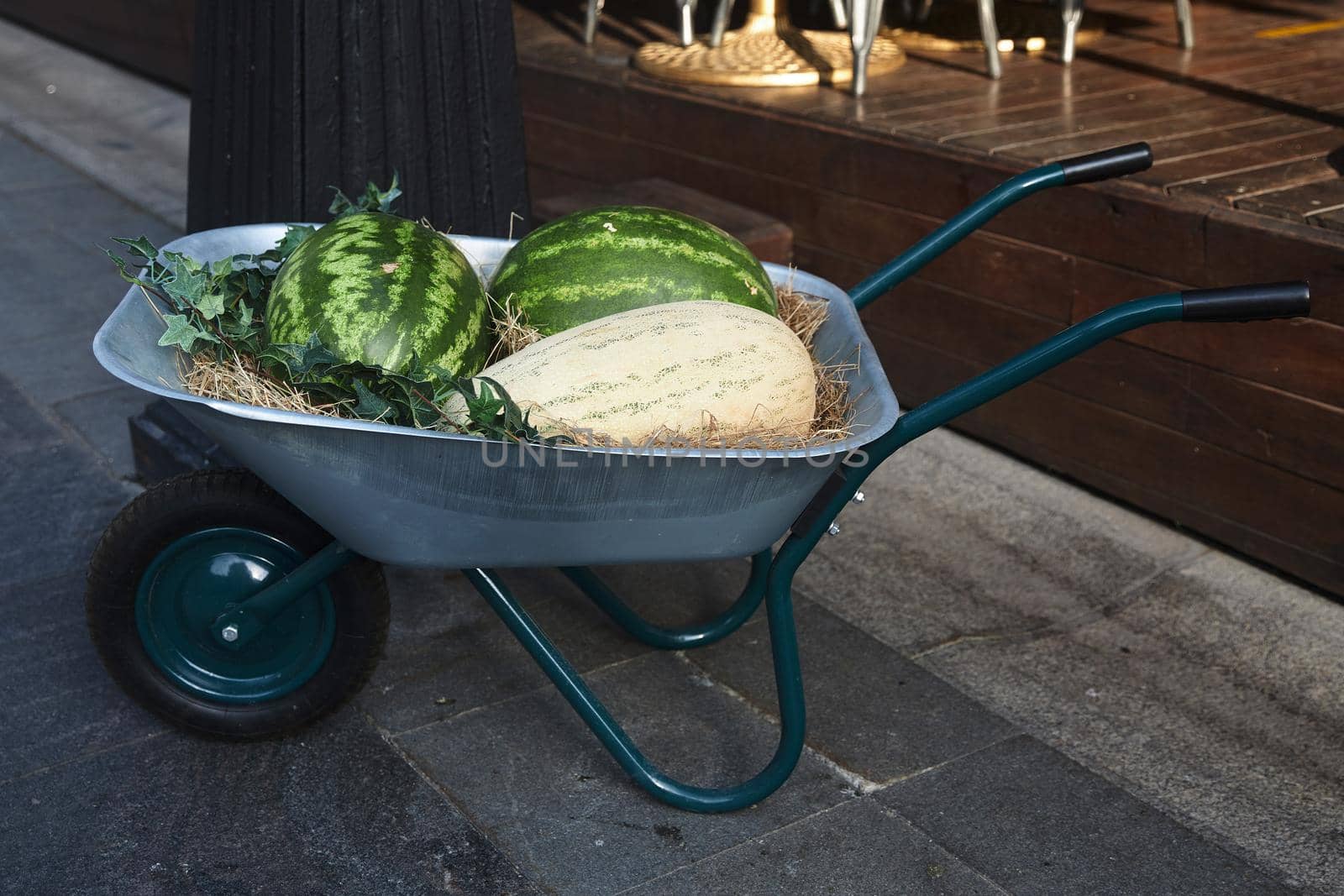 Trolley with watermelons and melons at the entrance to the market by elenarostunova