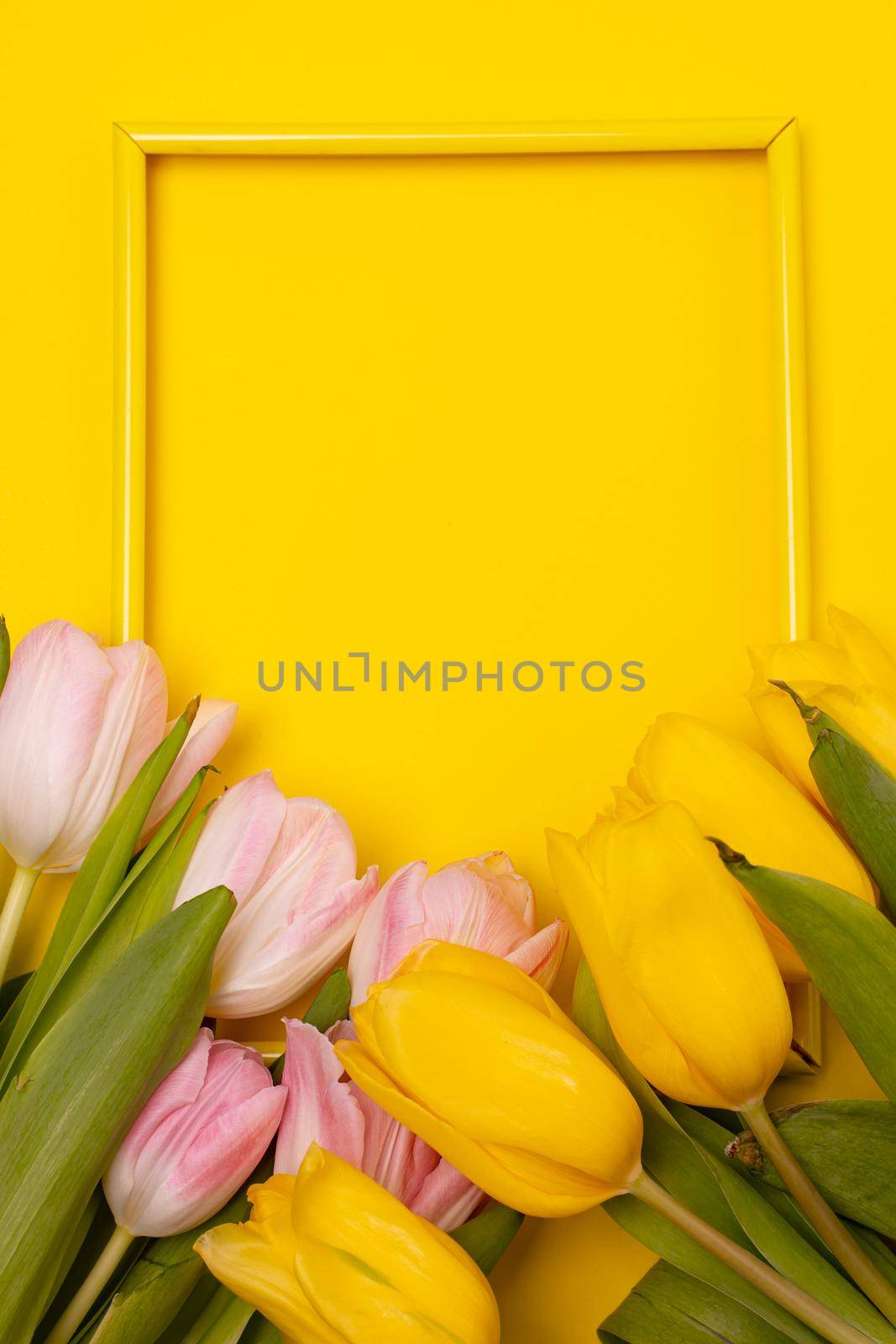 Tulips and a frame on a yellow background . Tulips of kopi space. Yellow background. Mockup . Space for text. A greeting card. Tulips on a yellow background. Spring flowers. March eighth. Mother's Day. Birthday
