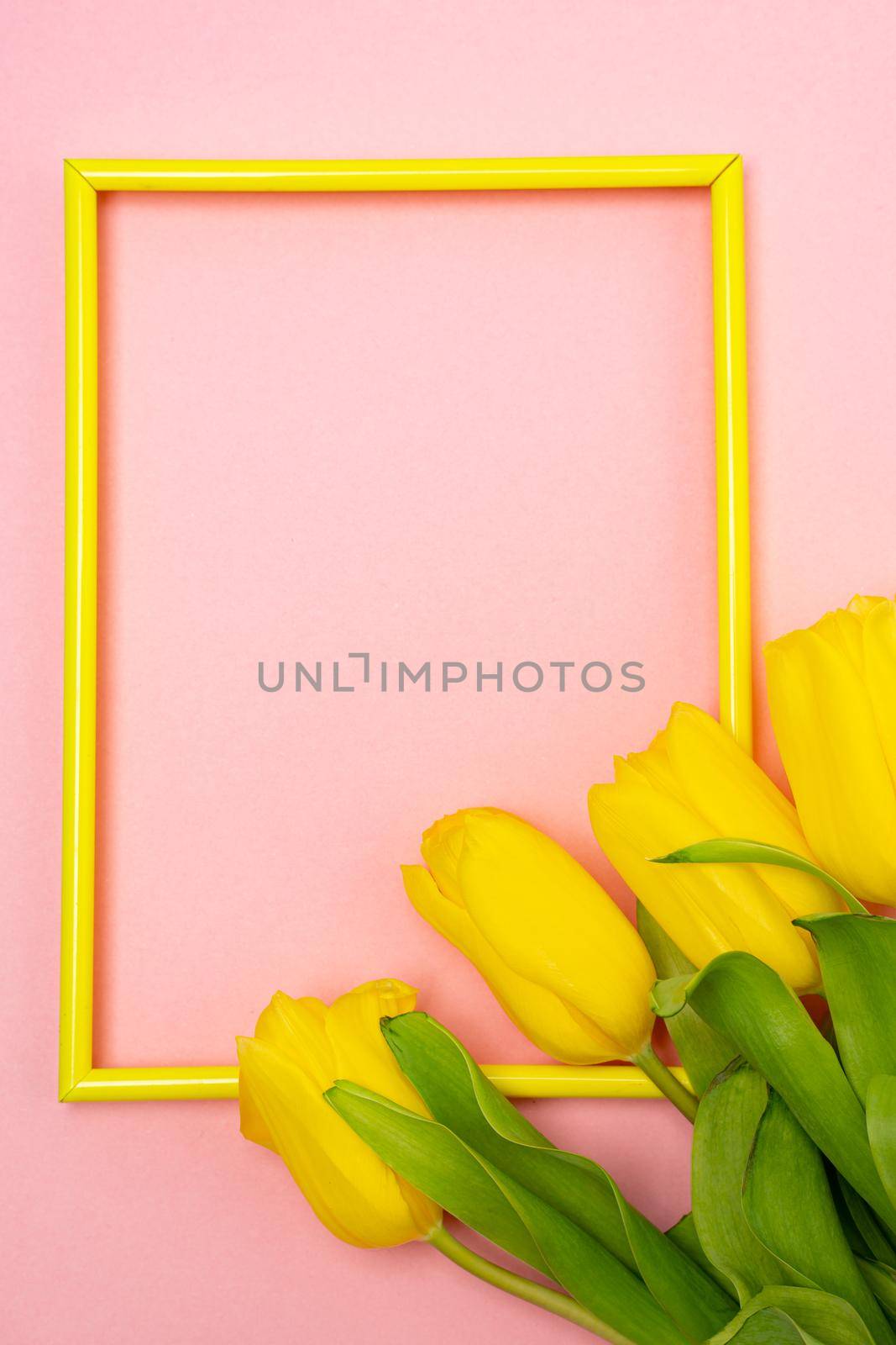 Tulips and a frame on a pink background . Tulips of kopi space. Pink background. Mockup . Space for text. A greeting card. Tulips on a pink background. Spring flowers. March eighth. Mother's Day. Birthday