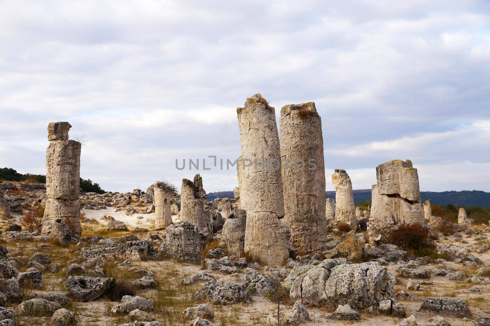 ancient stone pillars Pobite Stones in Bulgaria against a cloudy sky.