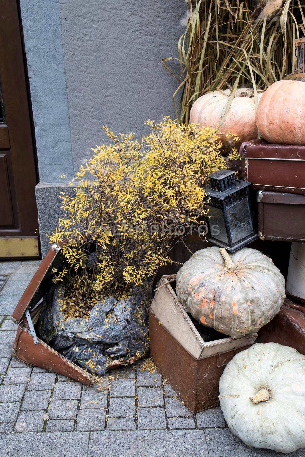 Halloween decorations: old suitcase, burlap, bush, pumpkins, straw, lanterns are located at the entrance to the house by elenarostunova