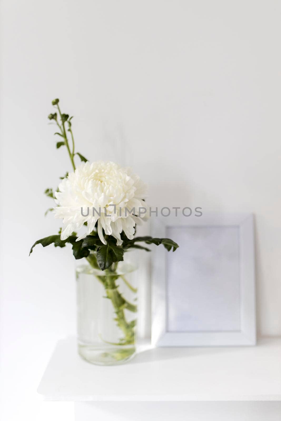 Large chrysanthemum in a glass vase. Photo frame with place for text, Office decoration. Copy space. Place for text
