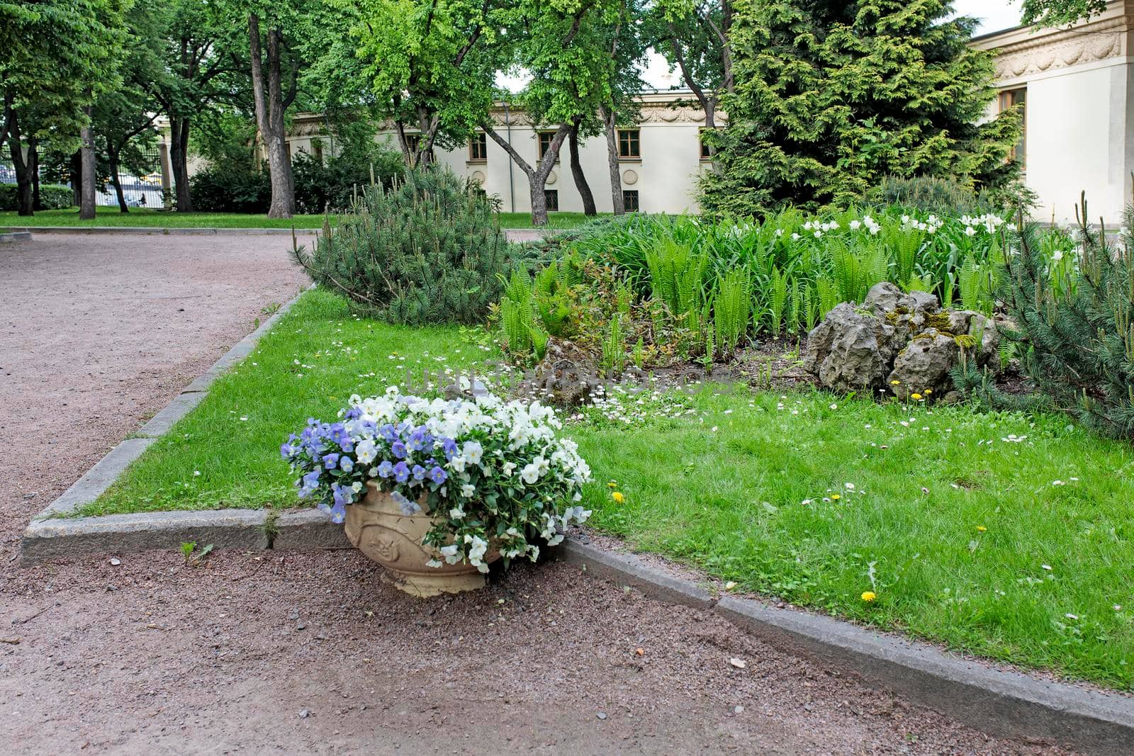 outdoor white ceramic vase as decoration with blue violets of different colors in the park. landscape design