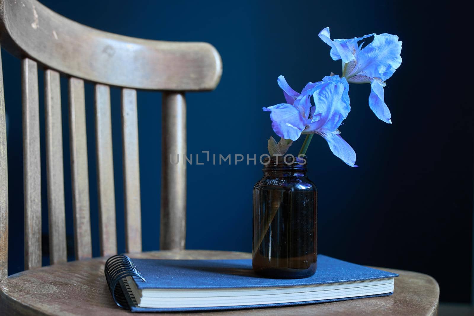 Two blue iris flowers are the bottle on a black notebook on a wooden Viennese vintage chair by elenarostunova