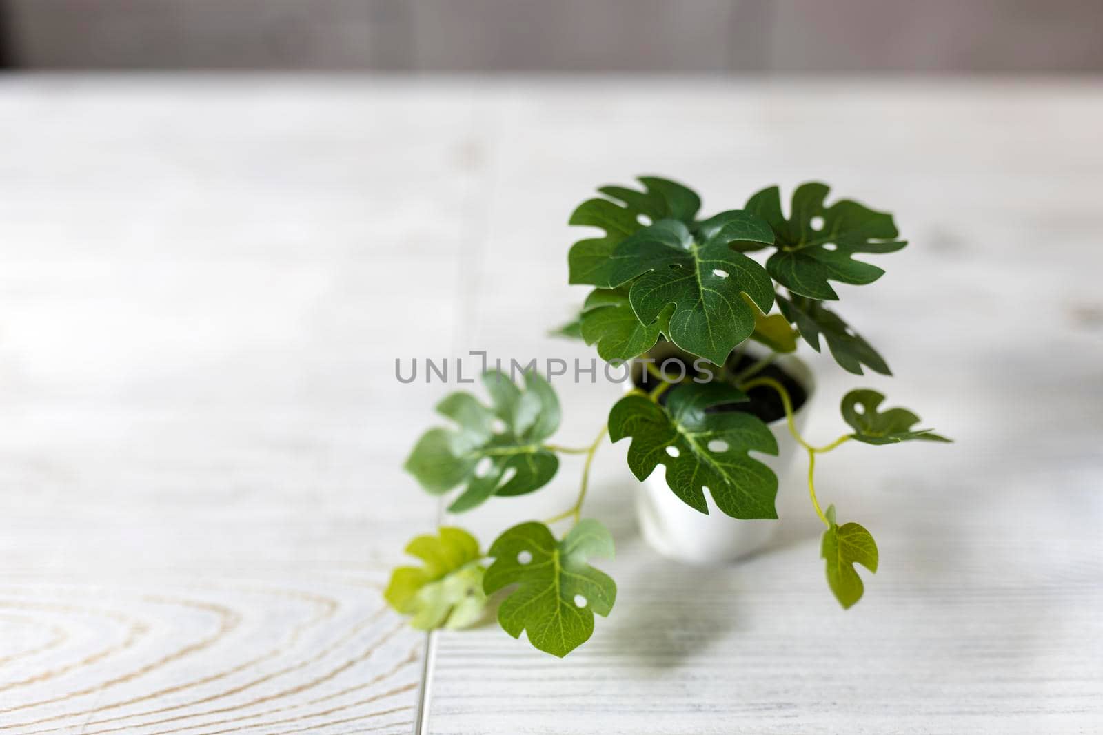 Artificial miniature copies of monstera and tropical plants are on a wooden table in a beige kitchen interior
