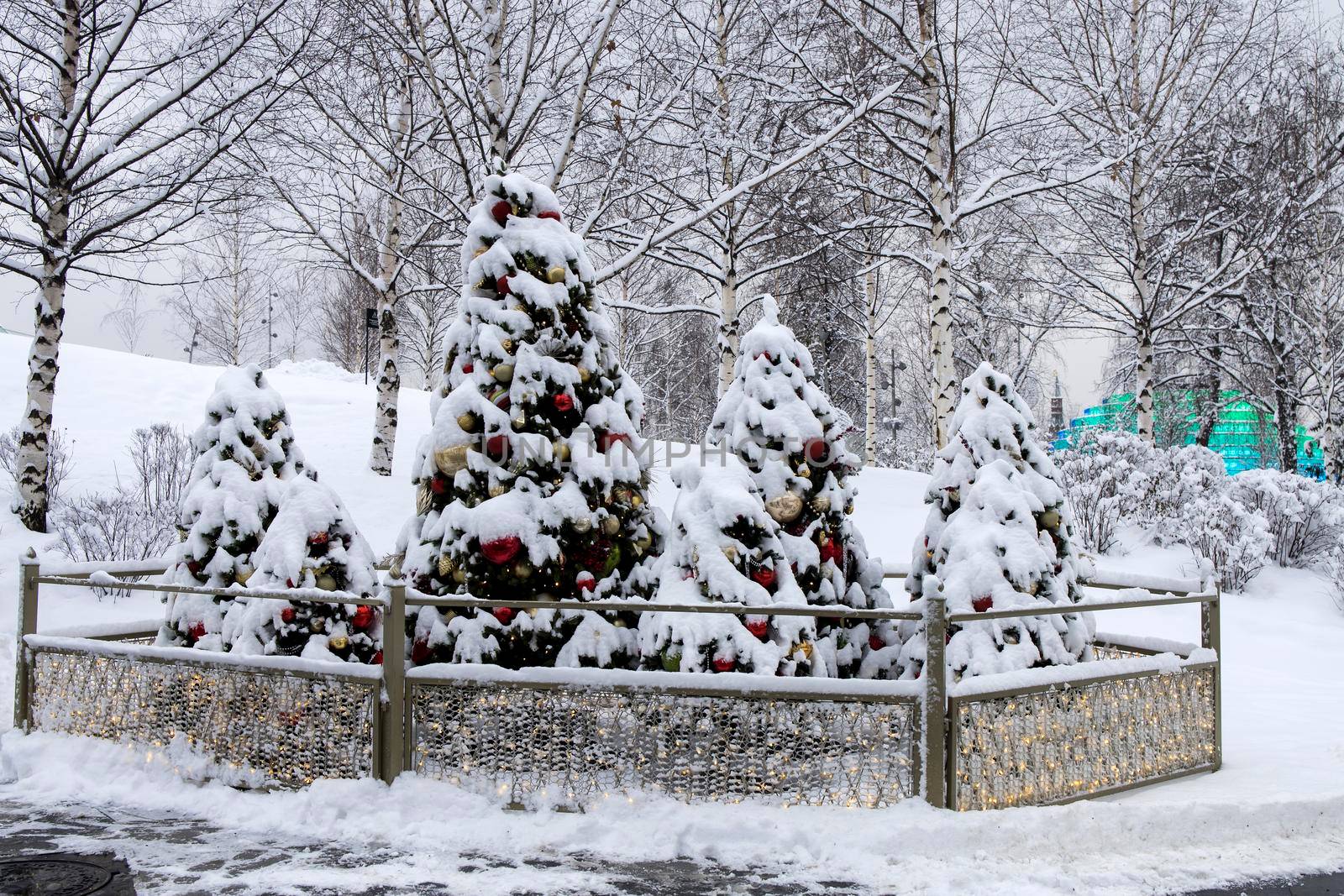 Three Christmas snow-covered trees decorate the park by elenarostunova