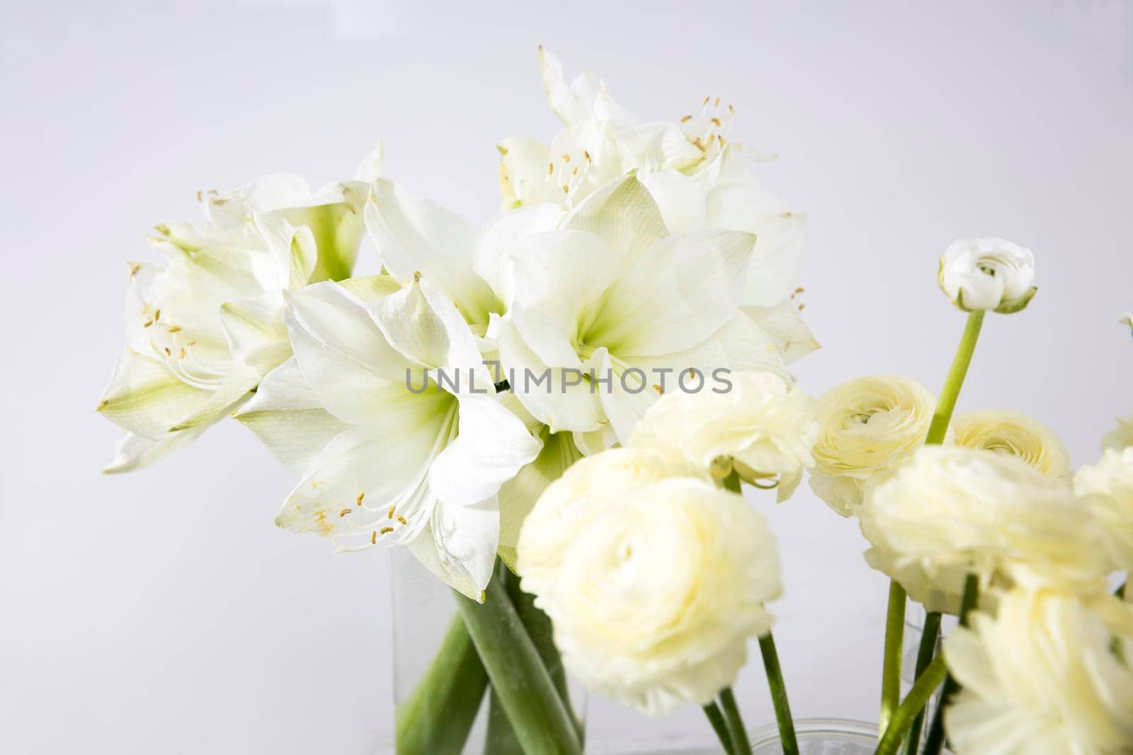 Bouquet of white lilies in a tall glass vase on a beige table against a gray wall. Copy space. Fresh bud