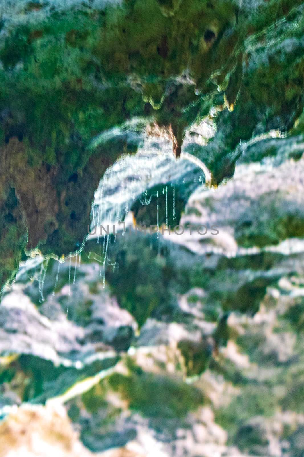 Amazing blue turquoise water and limestone cave sinkhole cenote at Santuario de los guerreros in Puerto Aventuras Quintana Roo Mexico.