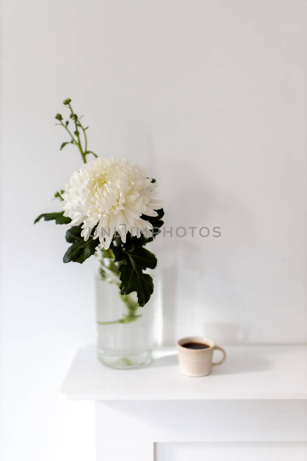 A large chrysanthemum in a glass vase, two fluted cups of coffee are on the table. Office decoration.