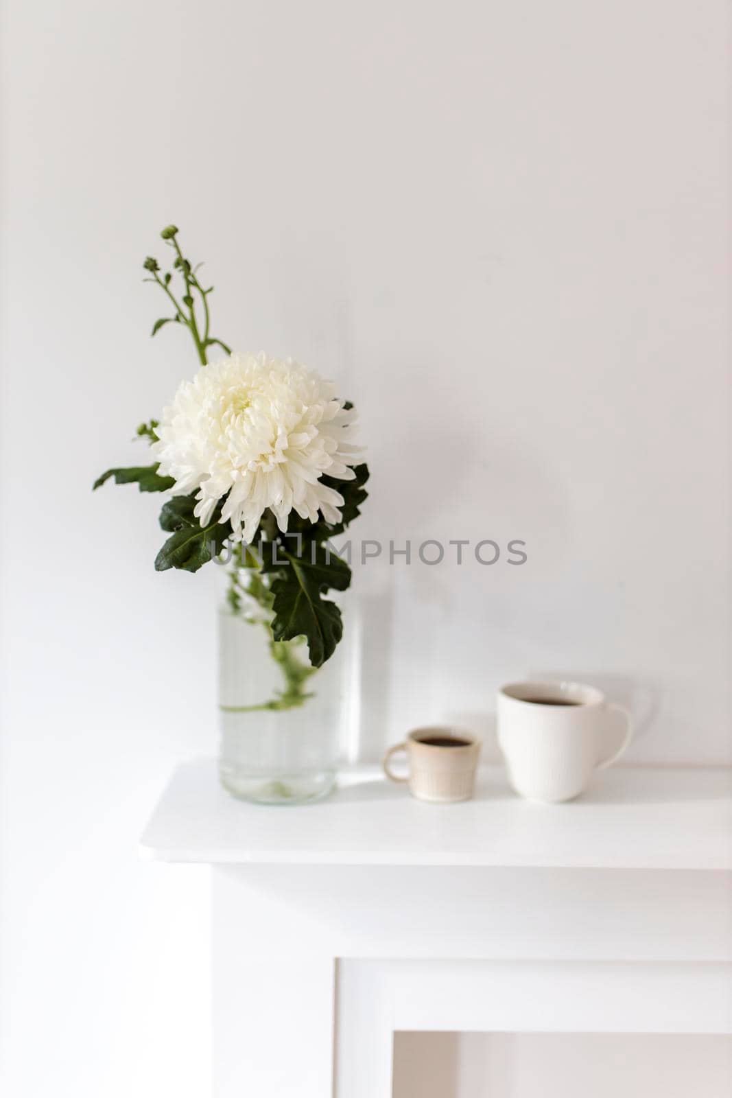 A large chrysanthemum in a glass vase, two fluted cups of coffee are on the table. Office decoration.