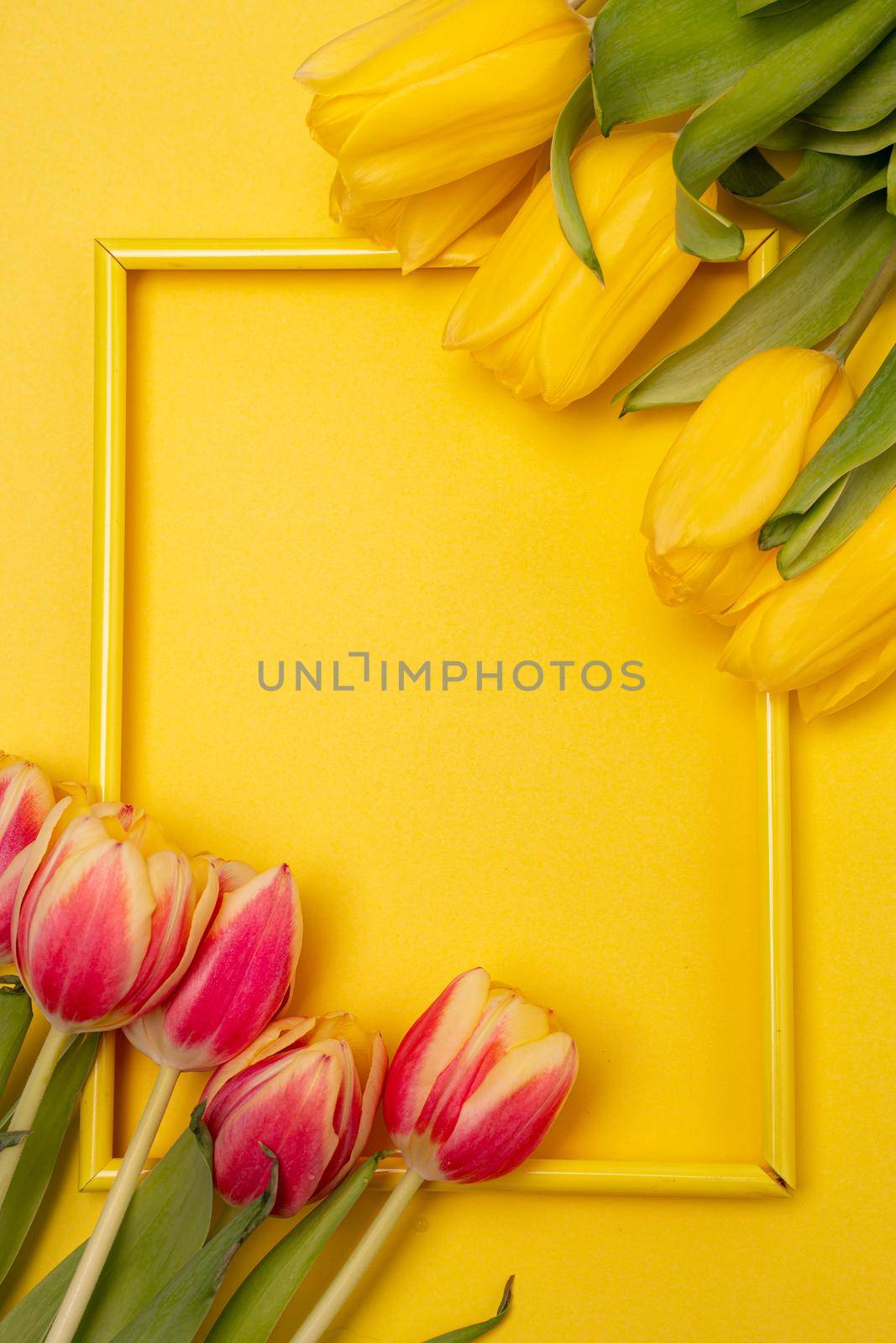 Tulips and a frame on a yellow background . Tulips of kopi space. Yellow background. Mockup . Space for text. A greeting card. Tulips on a yellow background. Spring flowers. March eighth. Mother's Day. Birthday