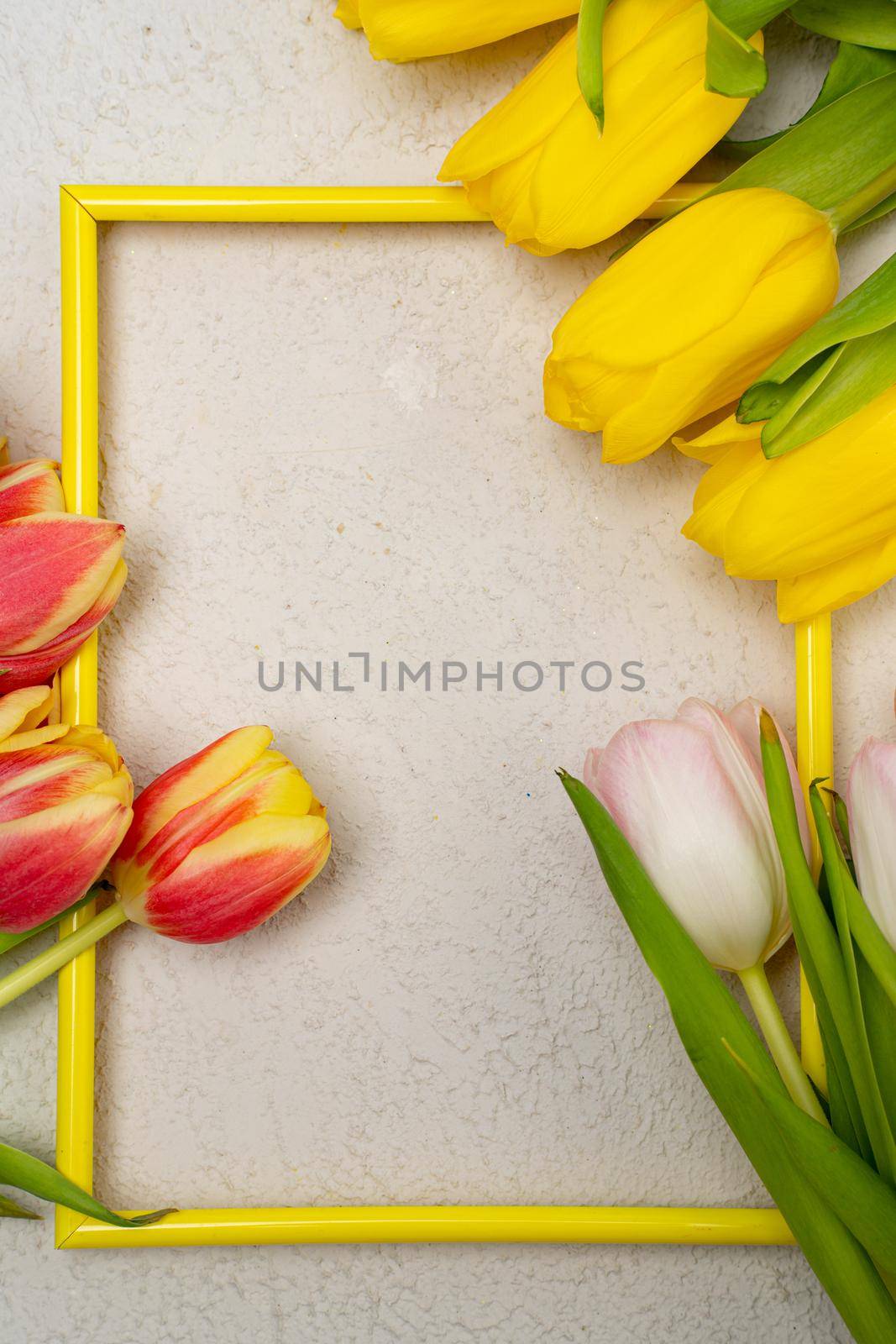 Tulips and a frame on a gray background . Tulips of kopi space. Gray background. Mockup . Space for text. A greeting card. Tulips on a gray background. Spring flowers. March eighth. Mother's Day. Birthday