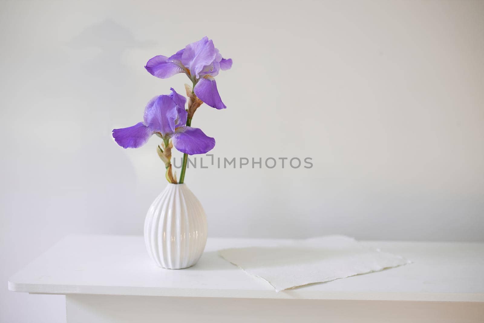 Blue iris in a corrugated vase with a piece of craft paper on a white table. Place for text by elenarostunova