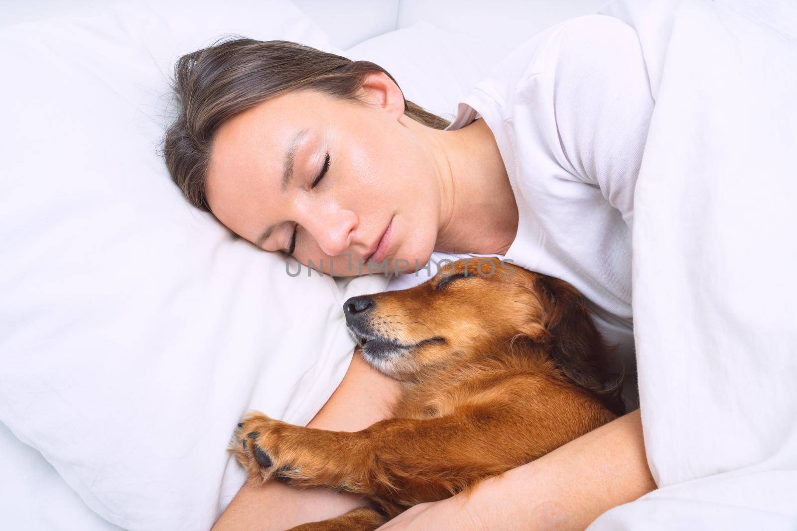 Woman sleeping with dog in the bed. Lovely dachshund dog sleeping together with owner by DariaKulkova