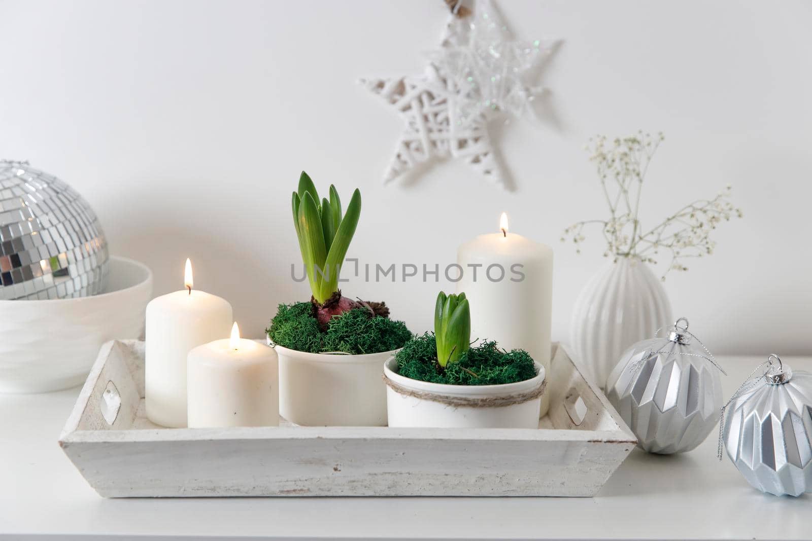 Unblown hyacinths with burning candles on a wooden vintage tray. Palm tree shadow on the wall. Home decoration for spring