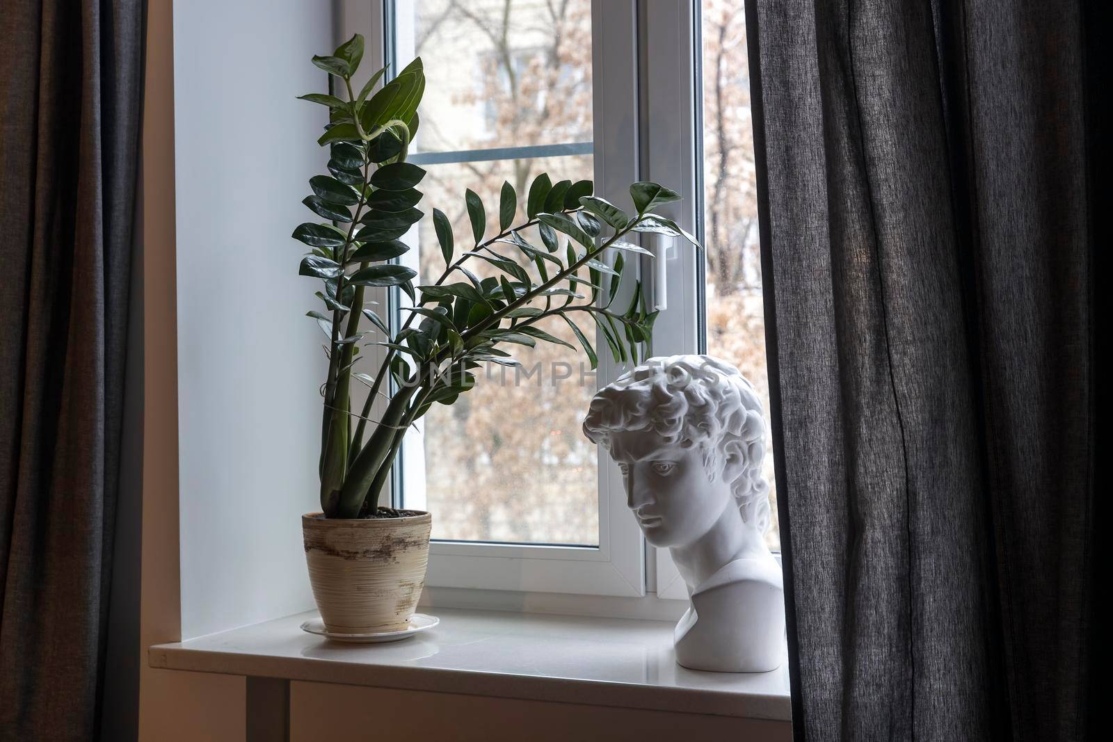 A plaster cast of David's head and a Zamioculcas plant in a ceramic pot stand on a white windowsill in a room