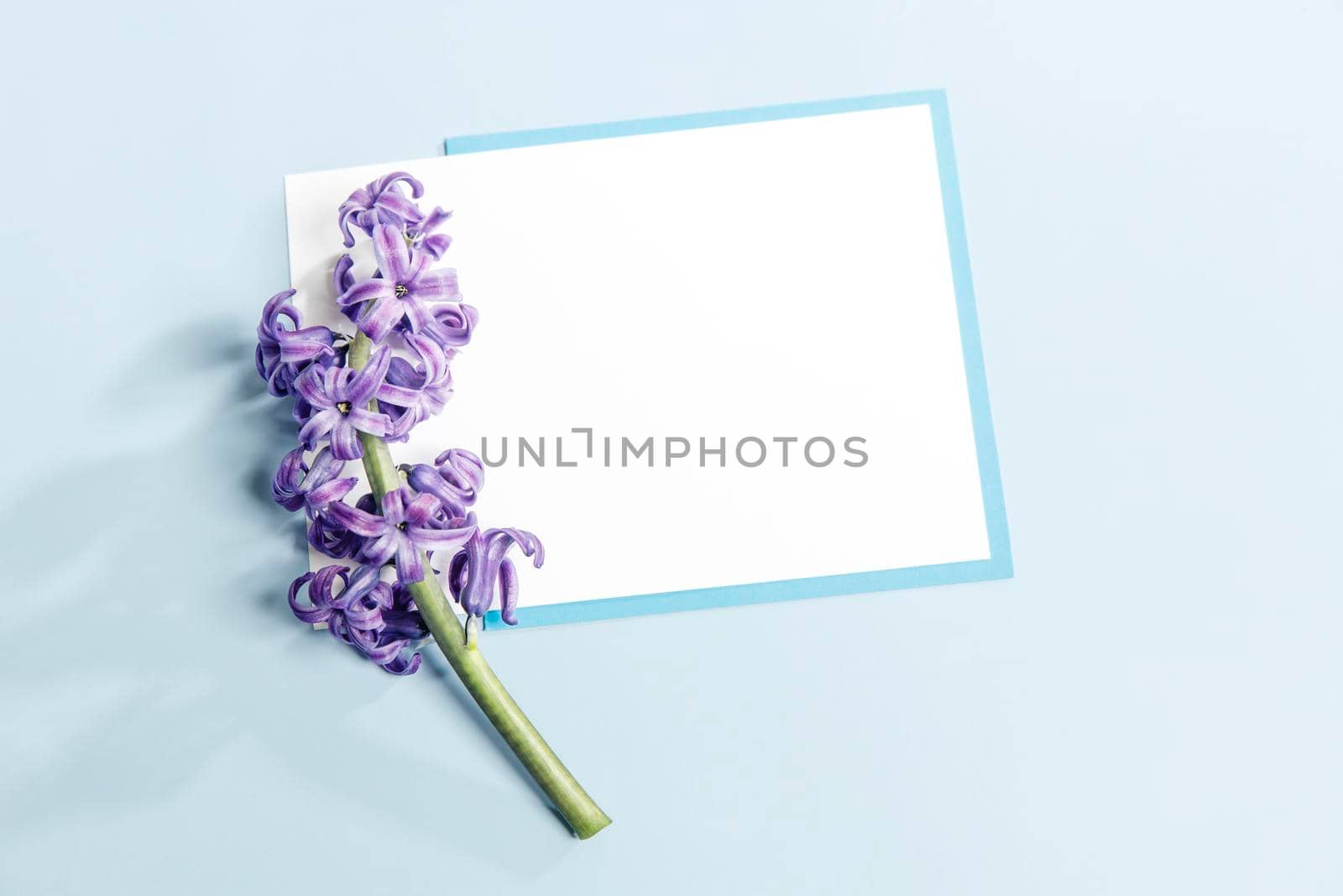 Greeting card for Valentine's Day or special event. White and blue peace of paper on a light blue background. Copy space. Place for text by elenarostunova
