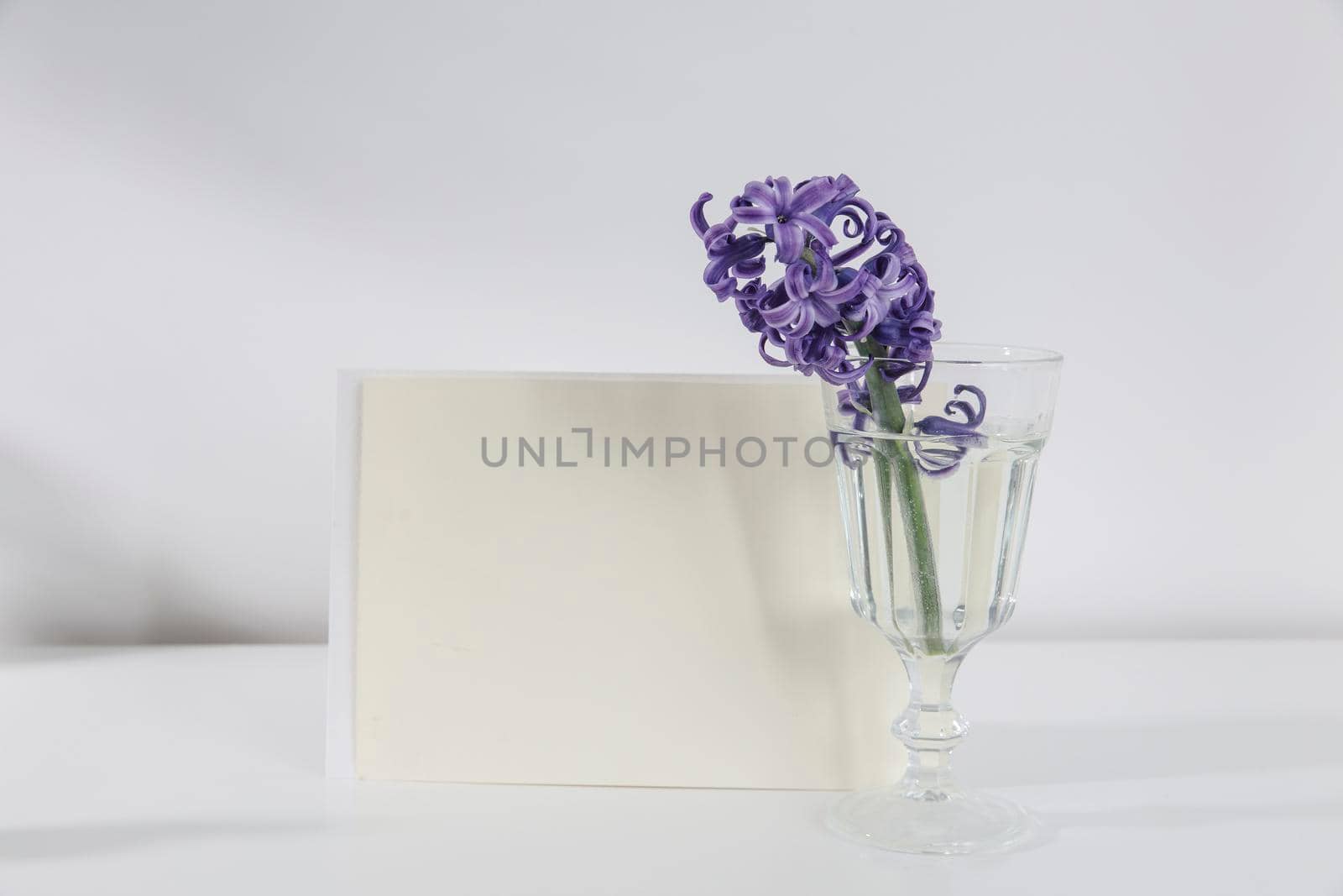 Blank wedding invitation stationery card mockup with envelope on white background with hyacinth flowers, feminine blog. Valentines day card, valentines day background, mothers day