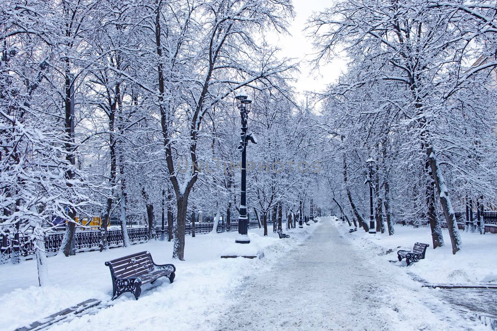 Rozhdestvensky boulevard, garden ring in snowfall by elenarostunova