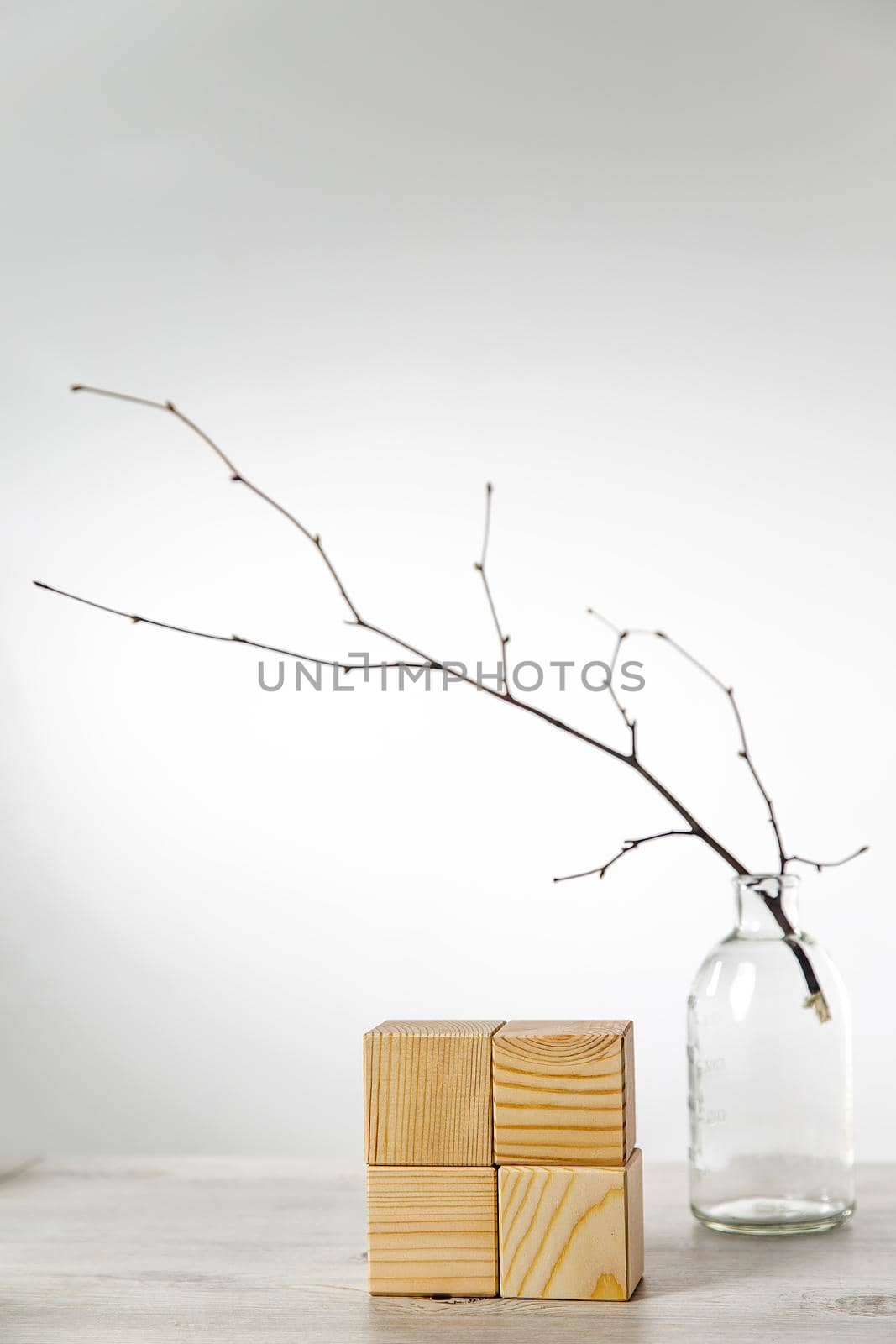 An unblown linden branch in a glass vase and four wooden cubes with space for text. Scandinavian style. Copy text