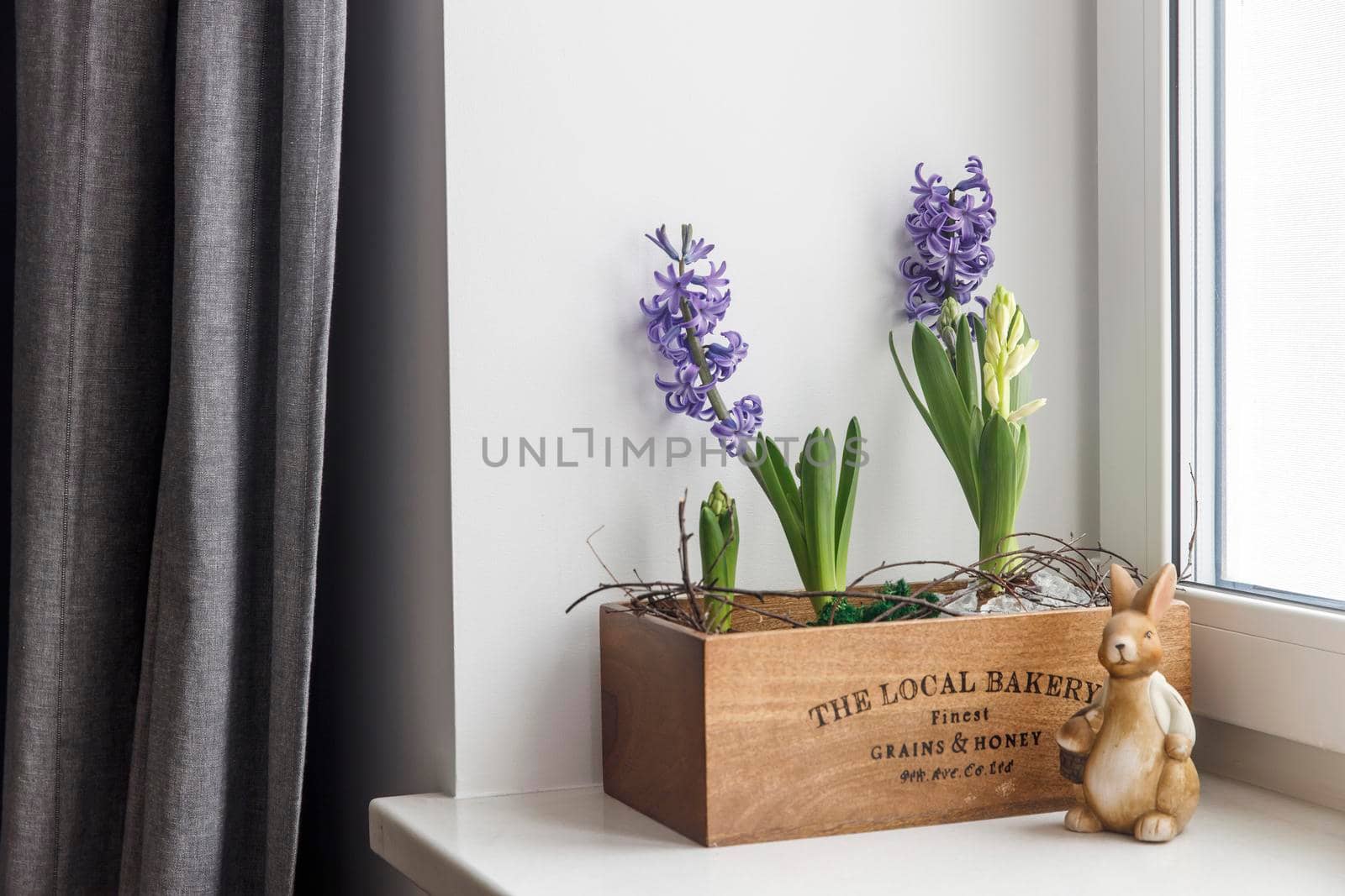 Interior decoration for Easter. Blooming blue hyacinths and books in a wooden storage box on a windowsill. Ceramic hare.