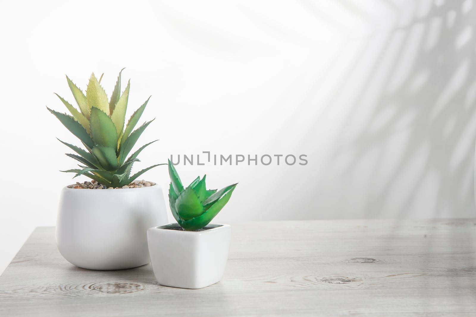 Office desk wood table of the business work place, artificial plants with copy space on grey wooden table. by elenarostunova