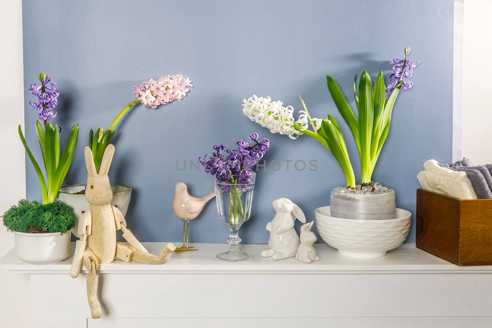 White hyacinth in large porcelain bowl, figurines of hares and a bird, are on the fireplace against the dark blue wall. Layout. Spring concept by elenarostunova