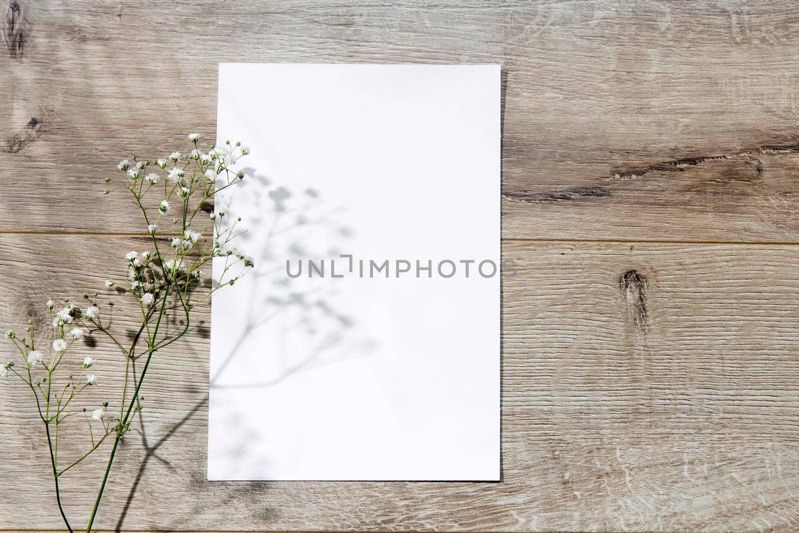 Blank paper business cards with mockup copy space on gypsophila on beige background. Minimal business template. Flatlay, top view. by elenarostunova