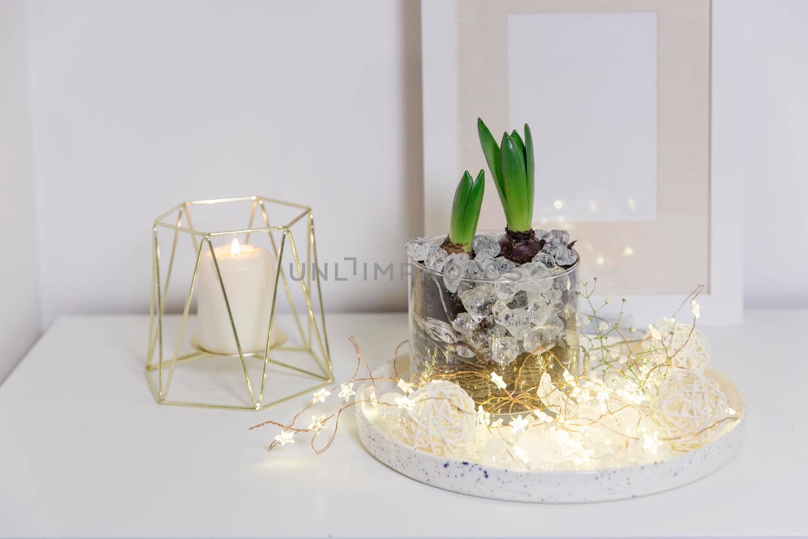 Two unopened hyacinths in a glass vase with artificial ice. Interior view in modern scandinavian style with painting canvas or poster on the wall. Living room, chest of drawers with vases. by elenarostunova